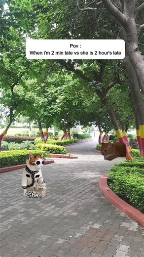 Catta Memes on Instagram: "When me vs she coming late 😭 #catta #viral #support #car #cat #follow #catlover #dailyvolgs #viralwithme #carlover ##catta.memes"