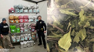 Police seize about 500 pounds of illegal drug khat from Twin Cities storage lockers