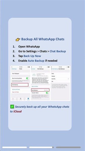 How to Backup WhatsApp on iPhone
