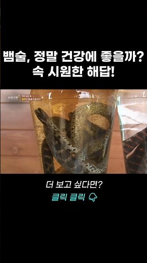 뱀술, 정말 건강에 좋을까? 속 시원한 해답! | 리얼다큐 숨