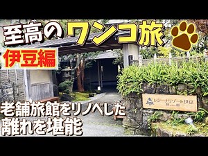 【レジーナリゾート伊豆無鄰宿泊レビュー】ワンコとお籠り旅におすすめ！GoToトラベルで伊豆高原へ行ってきた。【節約大全】Vol.249