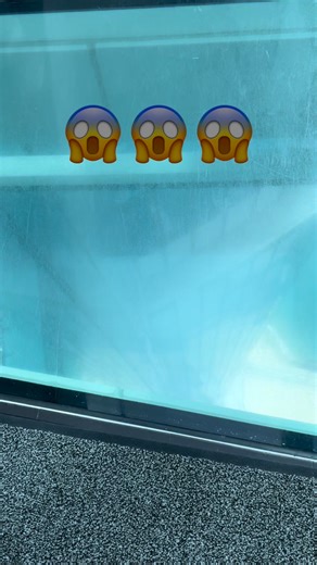 scary to walk on the 100th floor glass floor…. #SingaporeTouristGuide #tourwithpriscilla #busan #southkorea | Explore Singapore & The World