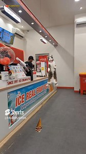 497K views · 3.7K reactions | Kompilasi video lucu kucing bisa ngomong part 15 #keluargaoren #vod | Keluarga Oren | Facebook