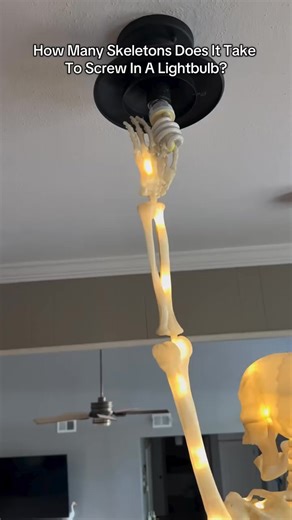 How many skeletons does it take to screw in a lightbulb?💡 another one bites the dust😆 Can’t wait for spooky season / Halloween. This light up skeleton is from Walmart! #fyp #halloween #spookyseason #skeletons #halloweenishere | La cocina de Velcheva