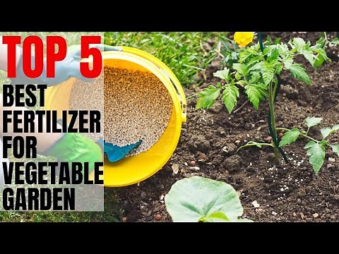 Top 5 Best Fertilizer For Vegetable Garden You Can Buy In 2020