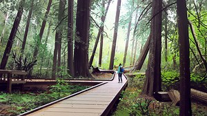 Virtual Plein Air Studies, Mike McCain