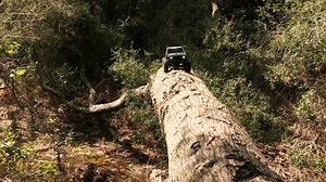 The Axial® Wraith™ 1.9 4x4 is a new, 1/10 scale, ready-to-run platform that delivers it all — technical rock crawling prowess and detailed scale looks. Take the wheel and take command over mud, rocks, sand, and through any kind of backyard terrain! http://www.axialracing.com/products/axi90074t1 | Axial Adventure