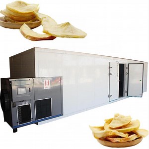 [Hot Item] Made in China 200kg/Batch Fish Drying Machine with Competitive Price