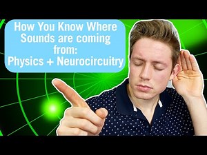 How Sound Localization Works: Timing + Intensity Differences | 20th Week in Medical School