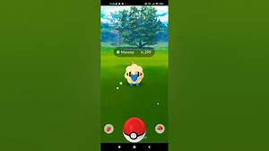 I Found The Cuties Bunnelby Shiny pokemon