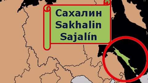 30 Weird and Wonderful Facts About Japan: Things You Never Knew Existed