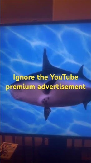 SpongeBob intro fandub aidendish Nick 2