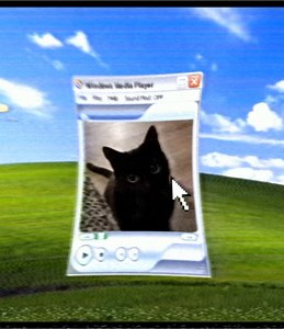 This audio tickling my brain😭 | ib: @shiki | #aephiro #youwerenthereireallymissyou #iiluvmari #edit #windowsxp #fyp