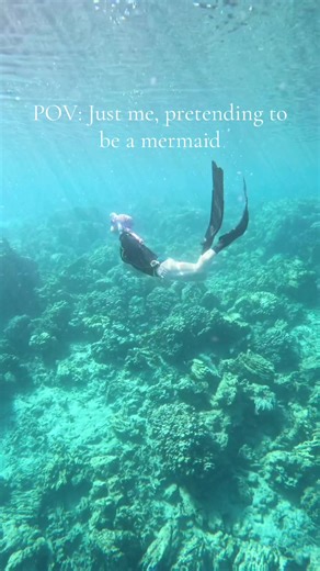 Look at this visibility off Port Havannah, Vanuatu! Absolute dream to swim in this clear, warm water. We had the best time exploring, and looking for nemo. Being in water like this gives me a feeling of freedom and peace. For those of you who have travelled to Vanuatu before, what are your recommendations? From tours to restaurants, or accommodation? Give me all the details! #diving #travel #beachvibes #ocean #happy