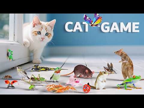 CAT GAMES Compilation | Best 3D Game For Cats To Watch | CAT TV For Feline Friends 😻