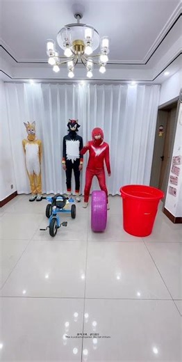 #刺猬索尼克#塔尔斯#纳克鲁斯#索尼克#夏特#艾咪#露姬#搞笑#家庭