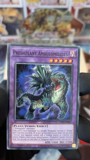 Episode 177 Of Yu-Gi-Oh Sealed Or Revealed? Dimension Force Pack 21 of 24 #yugioh #packopenning