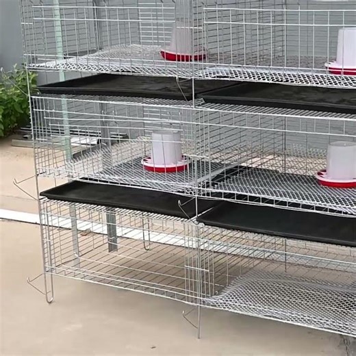 Simple Chick Cage Manufacturer | Durable & Easy-to-Use Brooder Cages for Sale