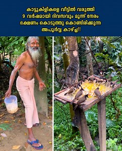 കാട്ടുകിളികളെ വീട്ടിൽ വരുത്തി 9 വർഷമായി ദിവസവും മൂന്ന് നേരം ഭക്ഷണം കൊടുത്തു കൊണ്ടിരിക്കുന്ന അപൂർവ്വ കാഴ്ച്ച!! | Madhurification Hangout