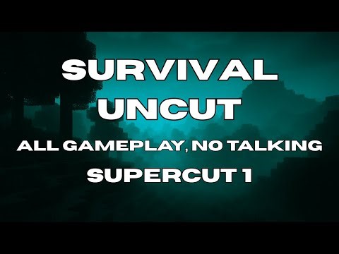 Minecraft Survival Uncut Supercut 1: 4 Hour Special; (All Gameplay, No Talking)