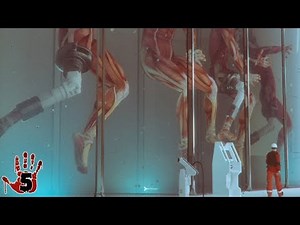 Top 5 SCP's Created By The Foundation