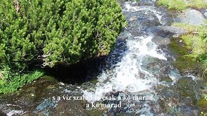 Szép Estét Kívánunk! Wass Albert - Üzenet haza László Attila | Csodálatos Erdély