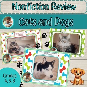 Nonfiction Reading Comprehension Activities: