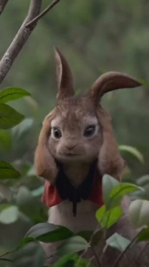 Herkese inat ölümüne eğlence isteği : Tavşan Peter ( 2018) #youtubeshorts #animasyon