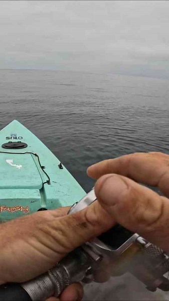 California Yellowtail Fishing Adventure