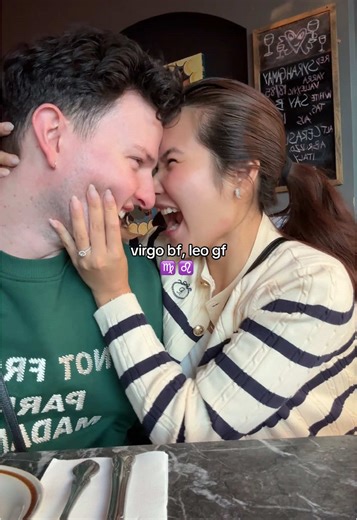 Understanding the Leo and Virgo Relationship Dynamics