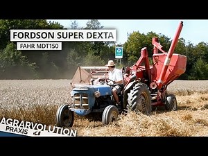 Fordson Super Dexta + Fahr MDT150 • Harvesting wheat | Agrarvolution Praxis