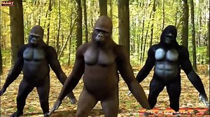 4M views · 93K reactions | el mejor baile del tao tao que he visto #el_tao_tao | Mary la efectiva | Facebook