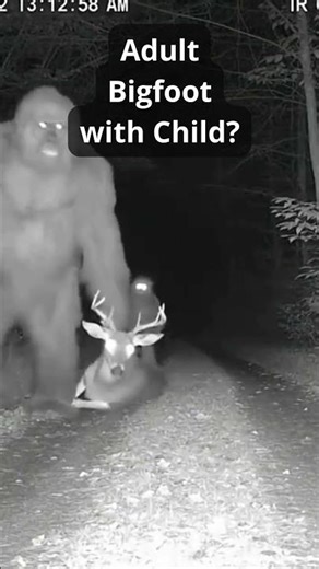 Clear Bigfoot Video With Kid Is This Genuine? #bigfoot #mysterious #shorts