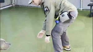 Humane Society for Hamilton County (Indiana) on Reels