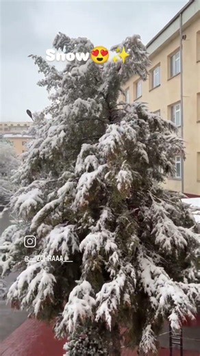 My window view 🤌🥹#mbbs#tashkent#snow#love #youtubeshorts
