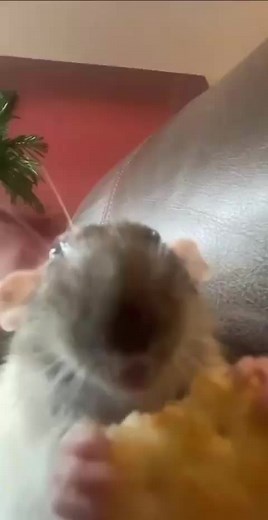 Ben (@ben_morgz)’s videos with original sound - Ben