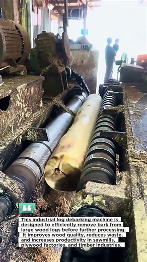 Massive Log Debarking Process | Powerful Woodworking Machines