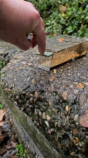 I released a House Mouse over the field.. and this funny thing happened!!! ***** MUST WATCH ***** | DuckMan Mascot