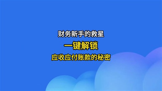 财务新手的救星：一键解锁应收应付账款的秘密！