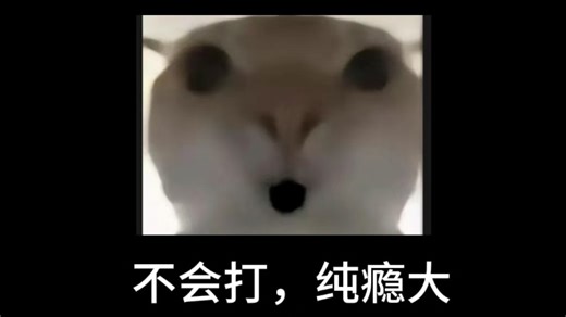 腾龙百杀代肝260107