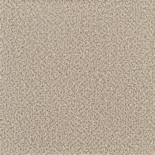 Reviews for Home Decorators Collection Spicework II - Albany - Beige 60 oz. SD Polyester Texture Carpet - Installation Required | Pg 5 - The Home Depot