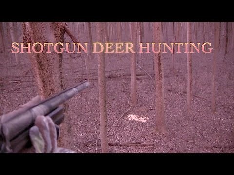 Shotgun Deer Hunt