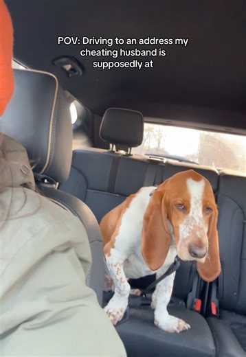 Do you think he is going to be there? #cheater #storytime #husband #relationships #cheaterbuster