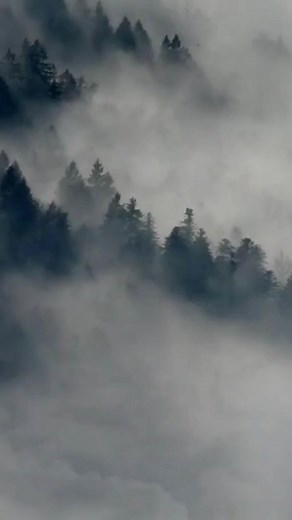 Do you know how to connect a hydration pack to your gas mask? The Master Chief walks through the piece you'd need to do that. #militaryissue #militarysurplus #militarymuscle | Army Navy Outdoors