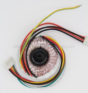 [Hot Item] High Efficiency Toroidal Transformer for Audio Equipment