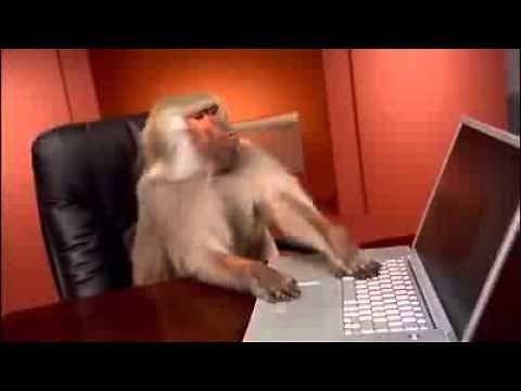 Monkey going crazy on Laptop