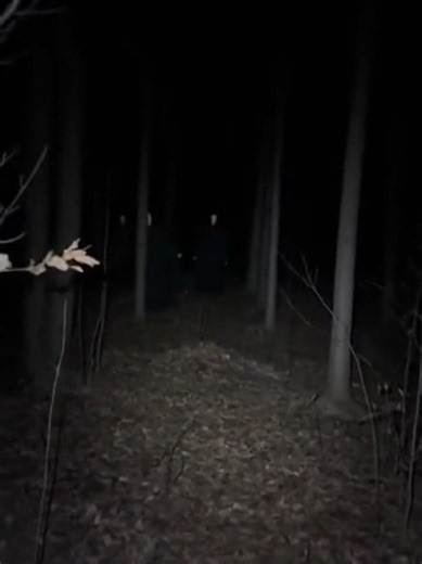 i didn’t see them at first #weirdcore #liminal #uncanny