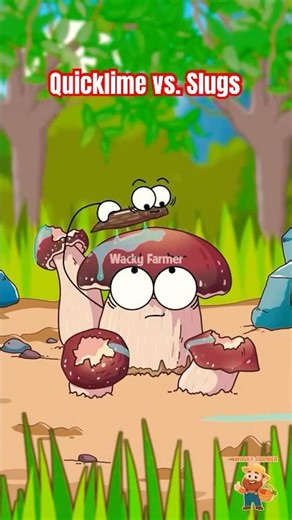 The BIZARRE Science of Quicklime vs. Slugs 🐌 #science #slugs #animation