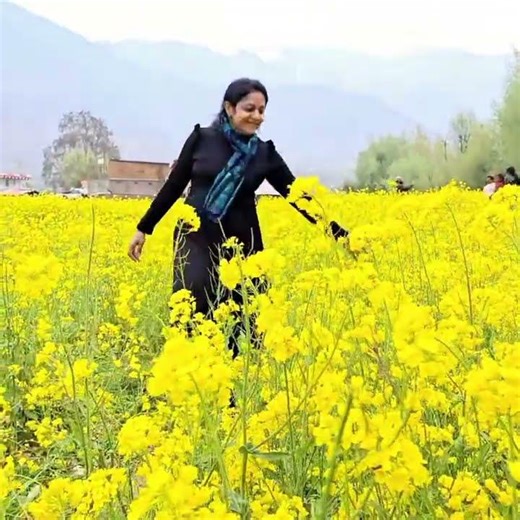 flower fields of Kashmir