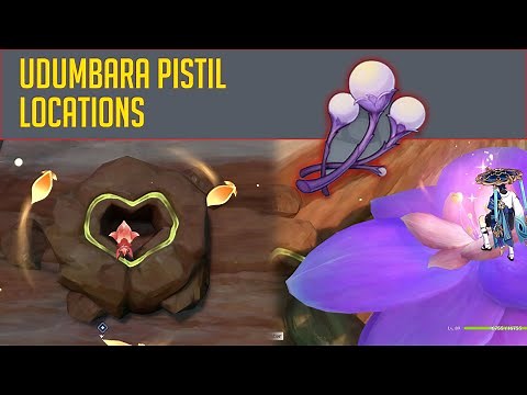 Genshin Impact - ALL 6 Udumbara Pistil Locations and How to Collect